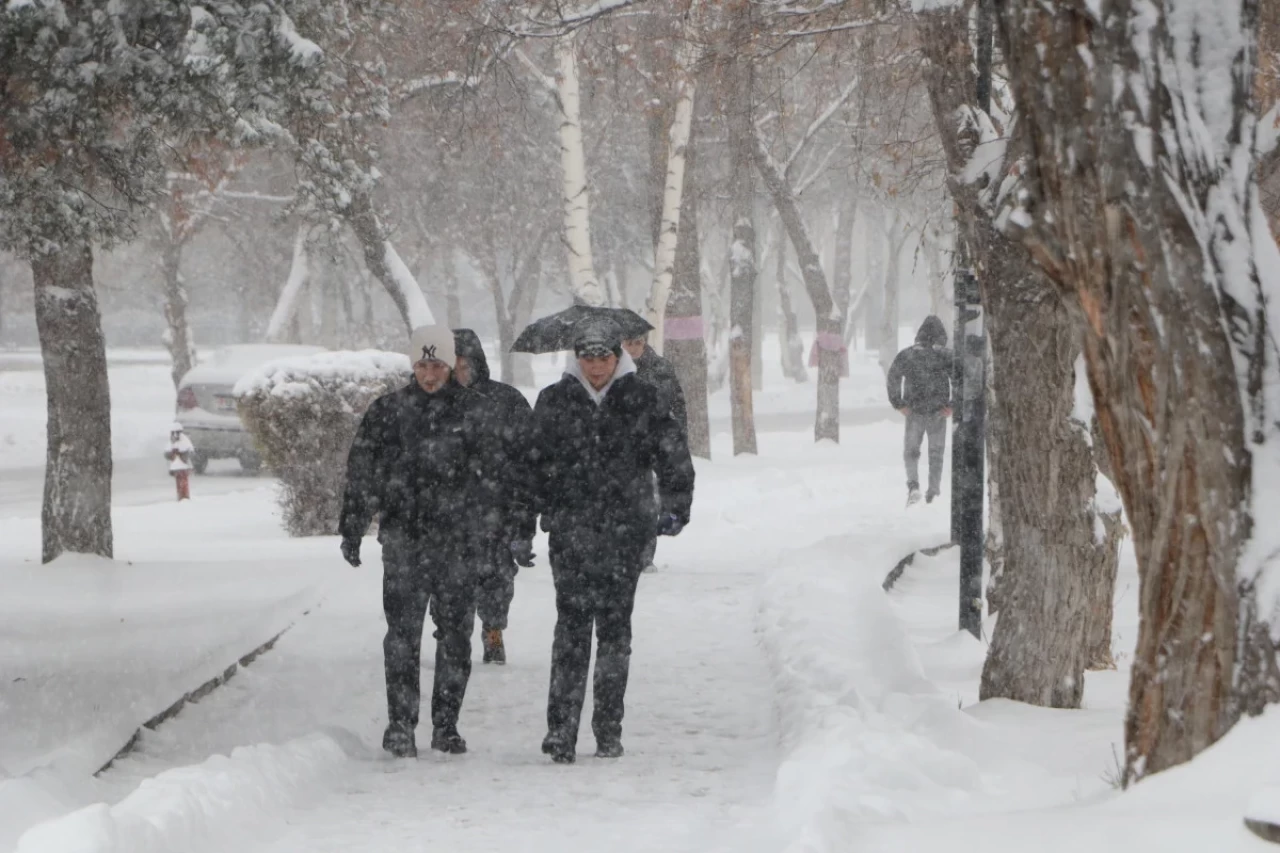 Erzurum'da Kar Yağışı Hayatı Durma Noktasına Getirdi: Bazı Yollar Kapandı