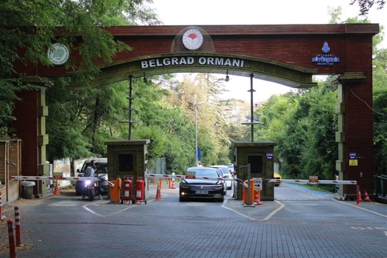 Belgrad Ormanı'nın İşletmesi İBB'den Alındı: Yeni İşletmeci Belli Oldu