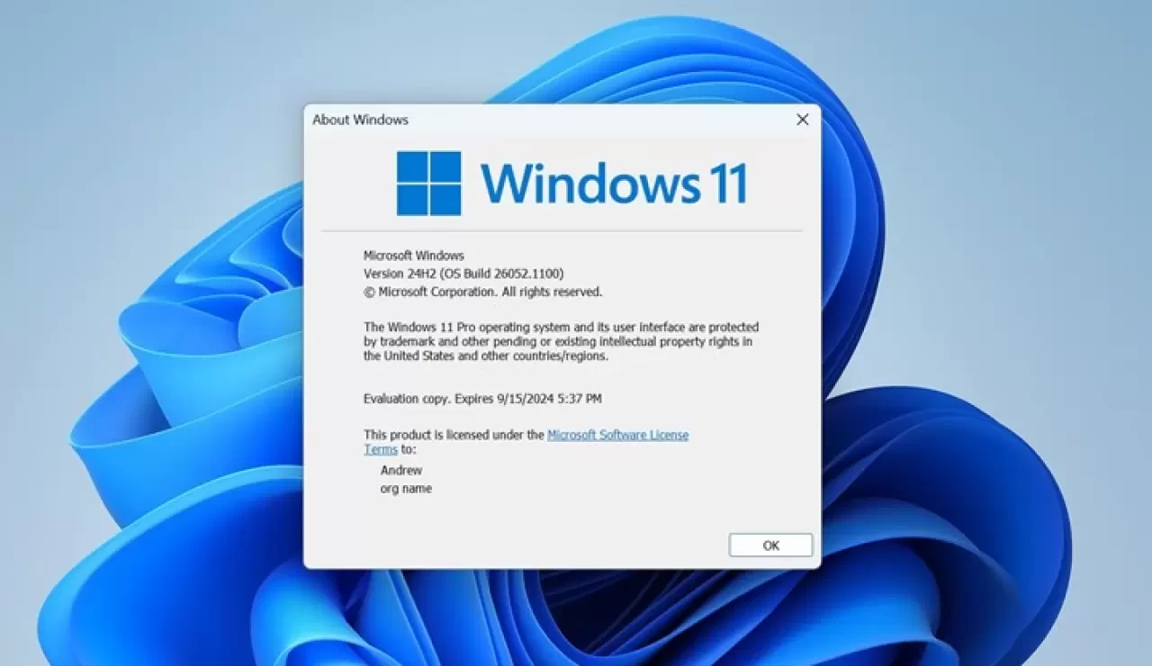 Windows 11 Güncellemesi Dell Cihazlarda Sorunlara Yol Açıyor