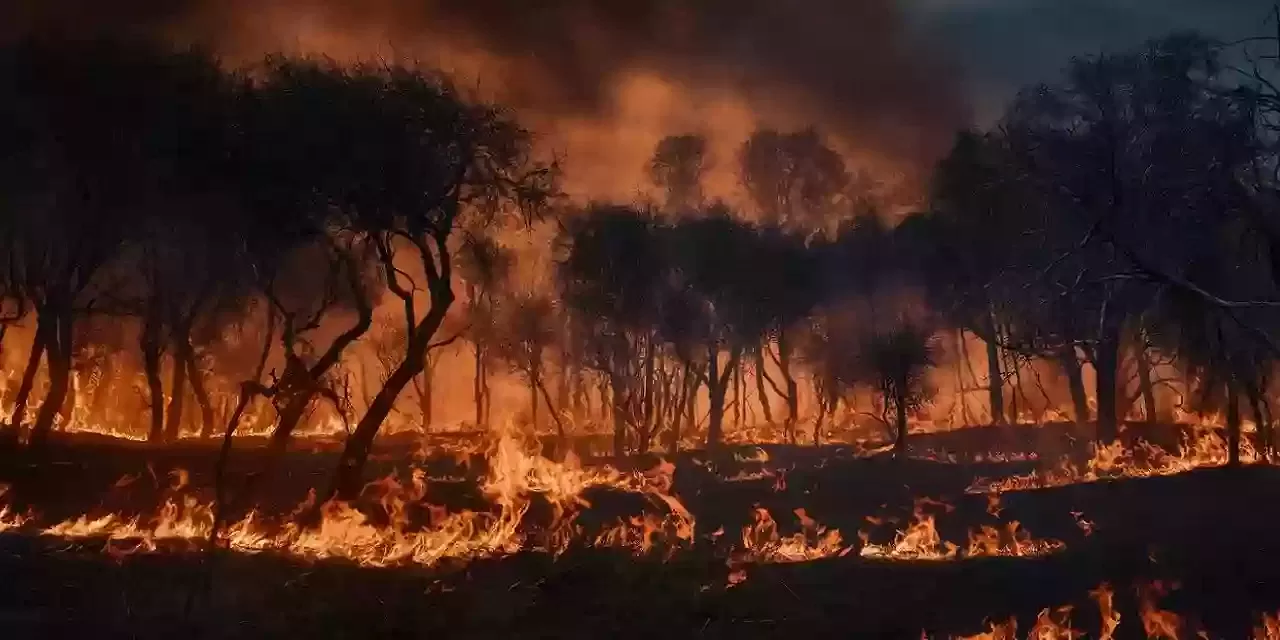 İzmir Çeşme Yangınının Sebebi Belli Oldu! Hiç Akla Gelmeyecek Olay