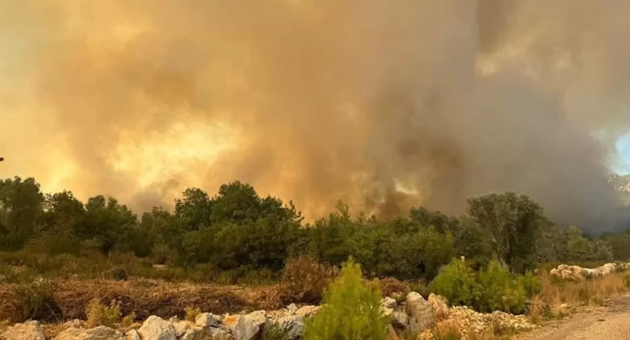 Antalya'nın Serik İlçesinde Korkutan Yangın!