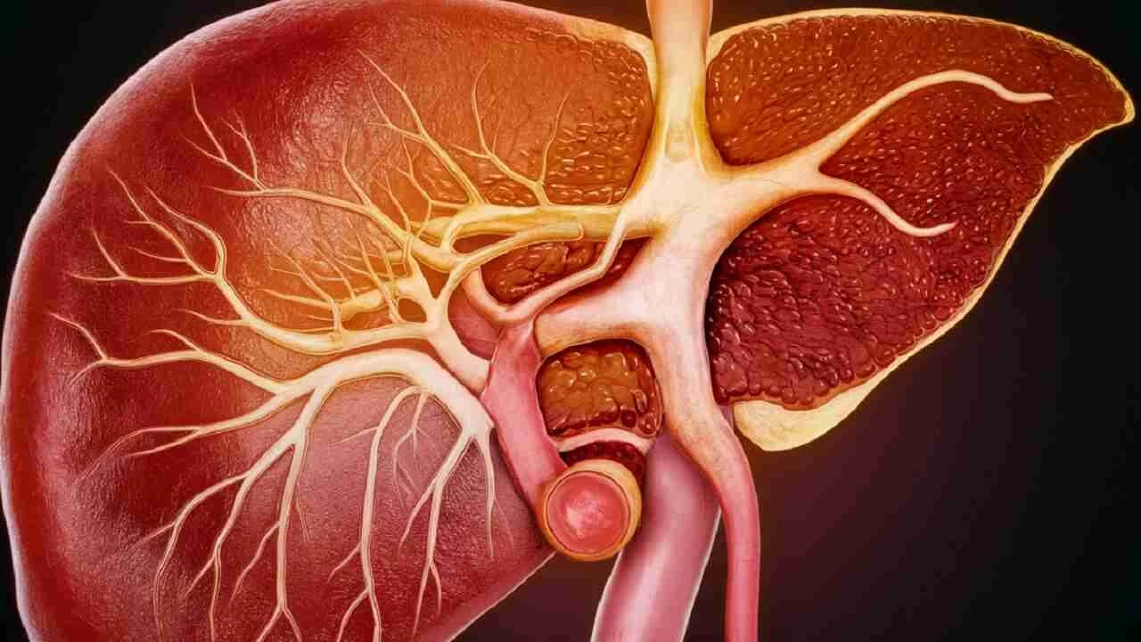 4 Kişiye Umut! Beyin Ölümü Gerçekleşen Hasta 4 Kişiye Umut Oldu