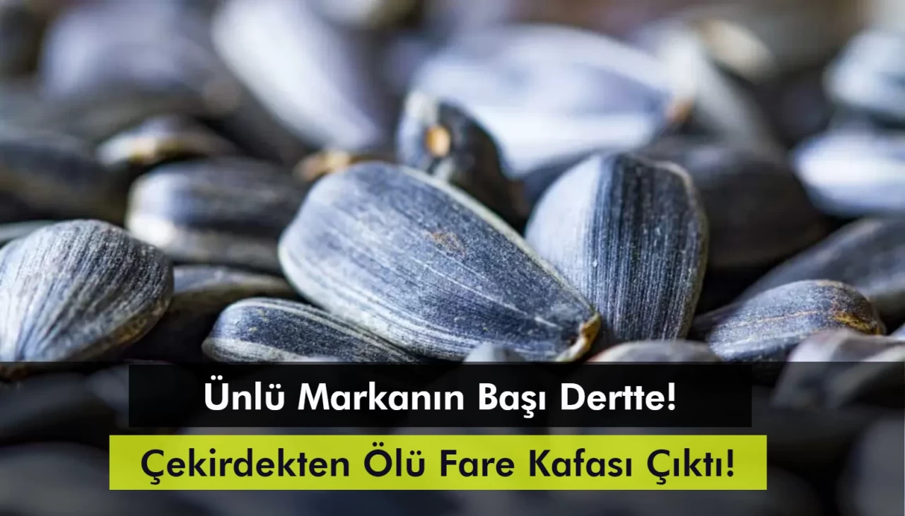 Çekirdekten Ölü Fare Kafası Çıktı! Paketinde 'Üstün Ödüllü' İbaresi Var!