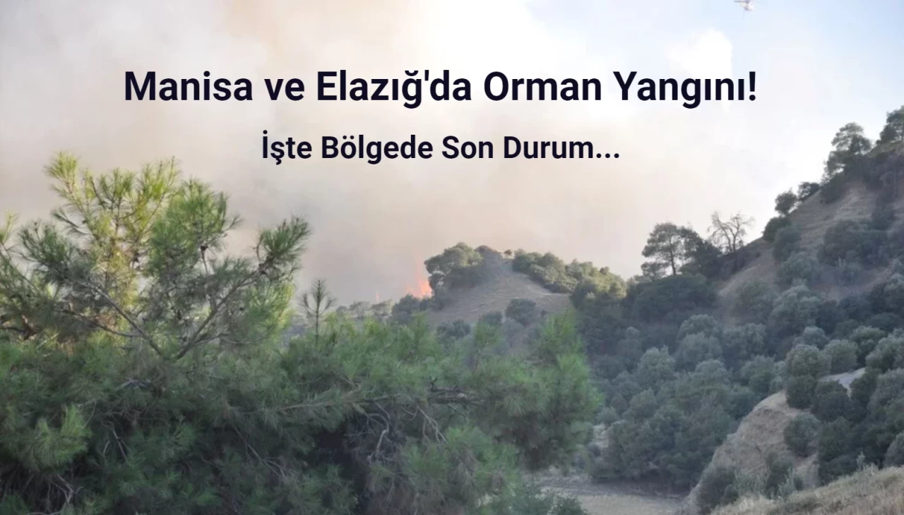 Manisa ve Elazığ'da Orman Yangını