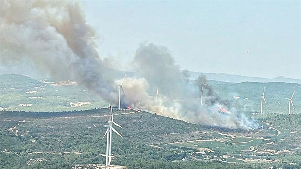 Urla'da Orman Yangını! Ekipler Havadan ve Karadan Müdahale Ediyor