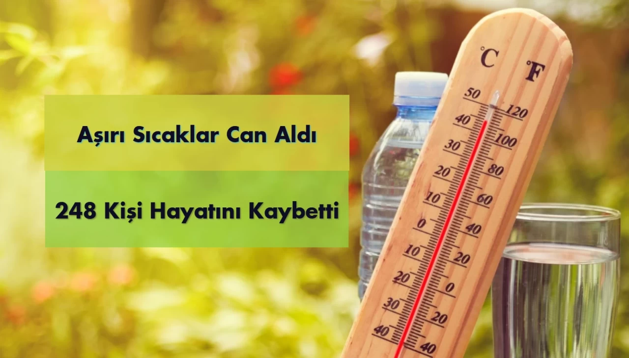 Aşırı Sıcaklar Can Aldı: 248 Kişi Hayatını Kaybetti