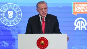 Cumhurbaşkanı Erdoğan: "2026'ya Kadar Türkiye'deki Hanelerin Yarısına Yerli Doğalgaz Ulaştırılacak"