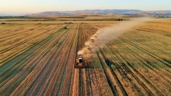 Çiftçilere Müjde! Tarımsal Destek Ödemeleri Hesaplara Yatırıldı