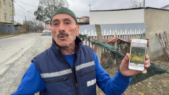 İstanbul'da hırsızların yeni hedefi: Yılbaşı hindileri çalındı!