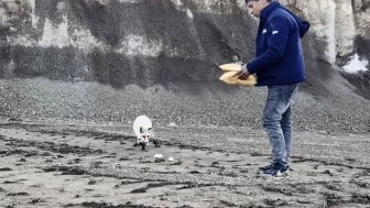 Bitlis'ten Yürek Isıtan Görüntü: Madencilerle Tilkinin 2 Yıllık Dostluğu...