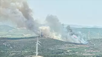 Urla'da Orman Yangını! Ekipler Havadan ve Karadan Müdahale Ediyor