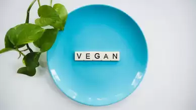 Vegan Ürünler Gerçekten Vegan mı? Detaylı İnceleme