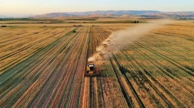 Çiftçilere Müjde! Tarımsal Destek Ödemeleri Hesaplara Yatırıldı