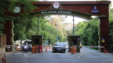 Belgrad Ormanı'nın İşletmesi İBB'den Alındı: Yeni İşletmeci Belli Oldu