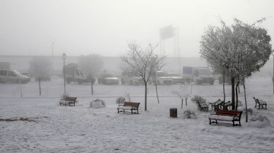 Bitlis beyaza büründü: Kar sebebiyle 77 köye ulaşım kapandı