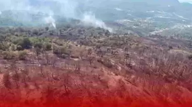 Orman Yangınlarından Etkilenen Tam 441 Kişiye Psikososyal Destek Verilecek!