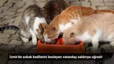 İzmir Menemen'de Sokak Kedilerini Besleyen Vatandaşa Saldırı!