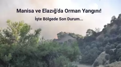 Manisa ve Elazığ'da Orman Yangını