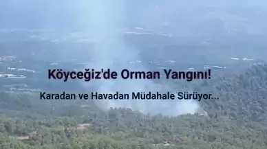 Muğla'nın Köyceğiz İlçesinde Orman Yangını Çıktı!