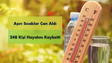 Aşırı Sıcaklar Can Aldı: 248 Kişi Hayatını Kaybetti