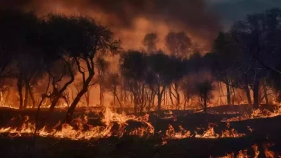 İzmir Çeşme Yangınının Sebebi Belli Oldu! Hiç Akla Gelmeyecek Olay