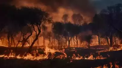 İzmir Çeşme Yangınının Sebebi Belli Oldu! Hiç Akla Gelmeyecek Olay