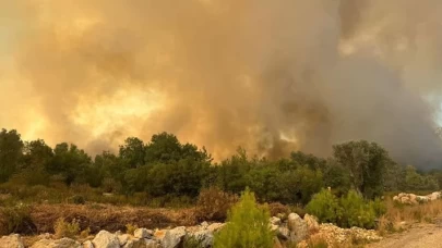 Antalya'nın Serik İlçesinde Korkutan Yangın!