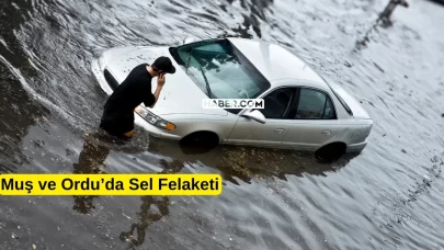 Ordu ve Muş'ta Sel Felaketi! 2 Kişi Hayatını Kaybetti