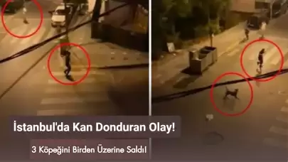 İstanbul Esenyurt'ta Skandal Olay: 3 Köpeğini Bir Adama Saldırttı!