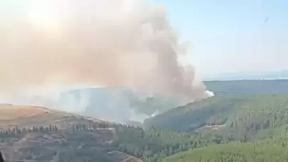 İzmir, Manisa ve Çanakkale'de Orman Yangını! 3 Kişi Hayatını Kaybetti