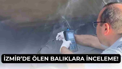 İzmir Körfezi’nde Balık Ölümlerine Bakanlıktan İnceleme Kararı!