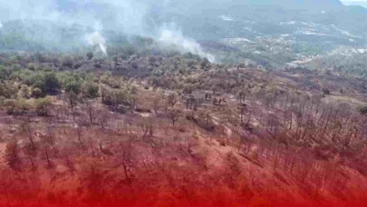 Orman Yangınlarından Etkilenen Tam 441 Kişiye Psikososyal Destek Verilecek!