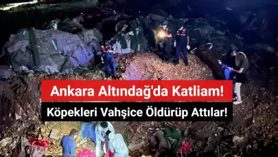 Ankara Altındağ'da Köpek Katliamı! Vahşice Öldürüp Attılar!