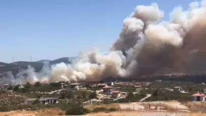 Aydın'da Makilik Alanda Çıkan Yangına Ekipler Müdahale Ediyor!