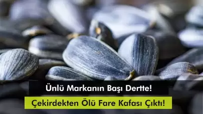 Çekirdekten Ölü Fare Kafası Çıktı! Paketinde 'Üstün Ödüllü' İbaresi Var!