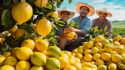 Limon Fiyatları Düşecek! Adana İmdada Yetişti