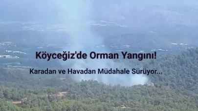 Muğla'nın Köyceğiz İlçesinde Orman Yangını Çıktı!