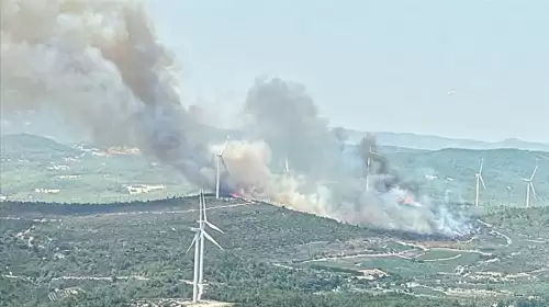 Urla'da Orman Yangını! Ekipler Havadan ve Karadan Müdahale Ediyor