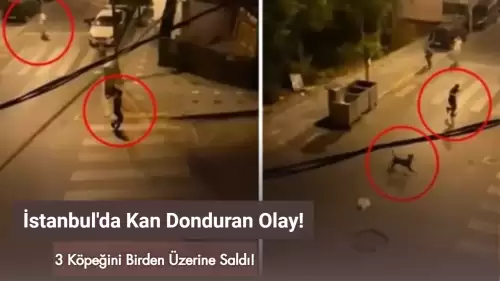 İstanbul Esenyurt'ta Skandal Olay: 3 Köpeğini Bir Adama Saldırttı!