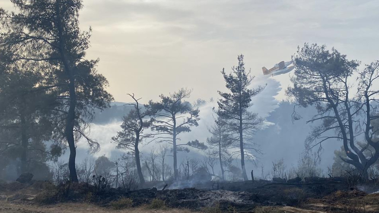 Çanakkale'deki orman yangınında itfaiye soğutma çalışmalarına devam ediyor