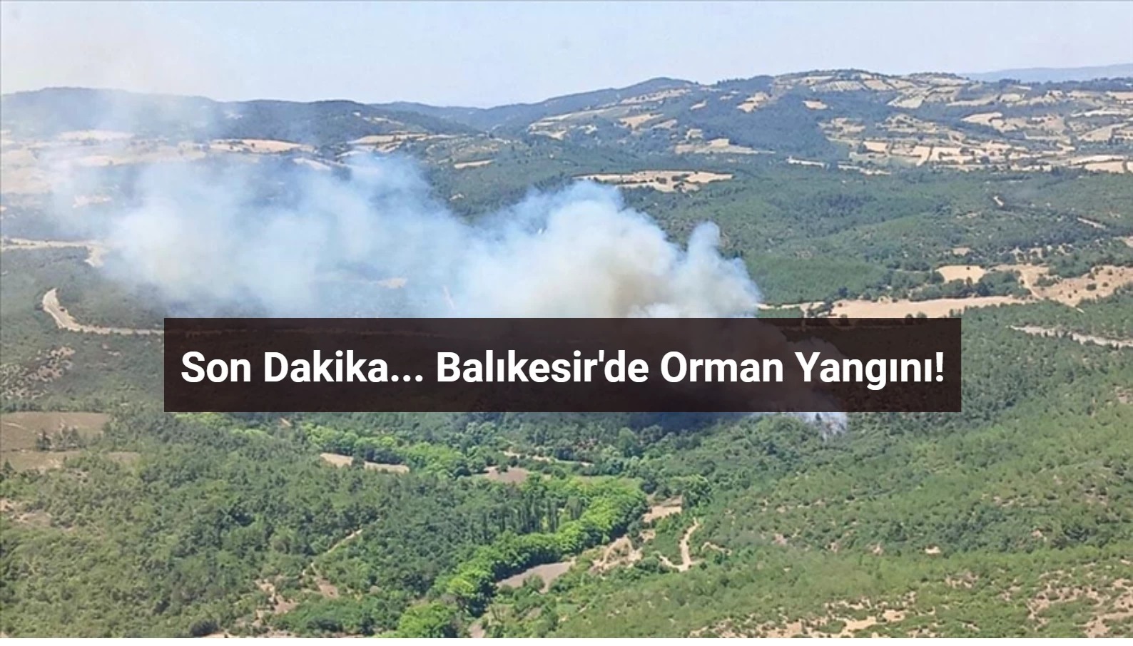 Balıkesir'de Ormanlık Alanda Yangın! İşte Son Durum