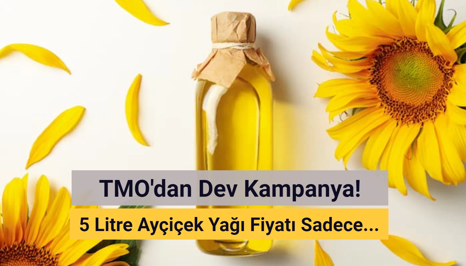 TMO 5 Litre Ayçiçek Yağı Kampanyası Başlattı! Fiyatı Şaşırttı